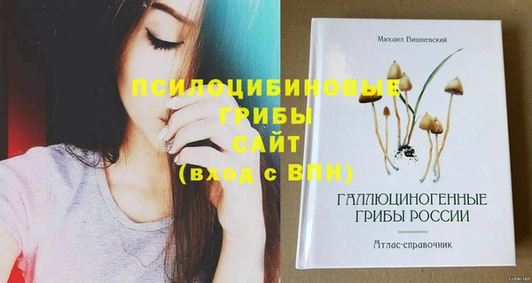 индика Березники