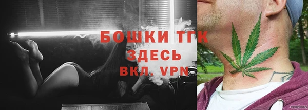 индика Березники