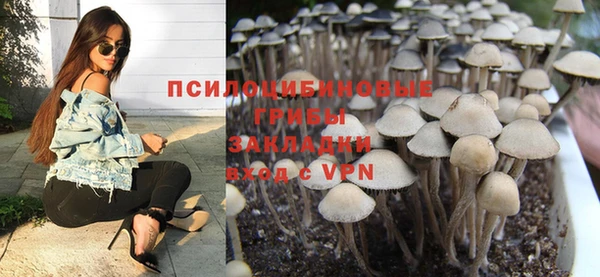 индика Березники