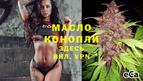 индика Березники