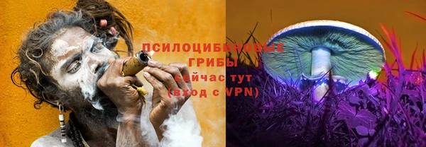 Альфа ПВП Лихославль