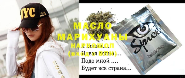 мет Ельня