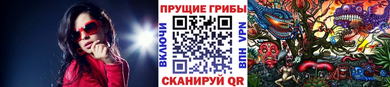 Псилоцибиновые грибы Psilocybine cubensis  ссылка на мегу ССЫЛКА  мориарти наркотические препараты  продажа наркотиков  Бирюсинск 