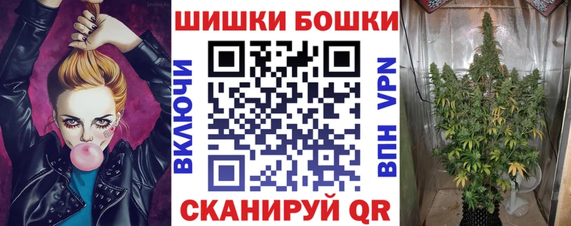 где купить наркотик  hydra ONION  Бошки Шишки гибрид  Бирюсинск 